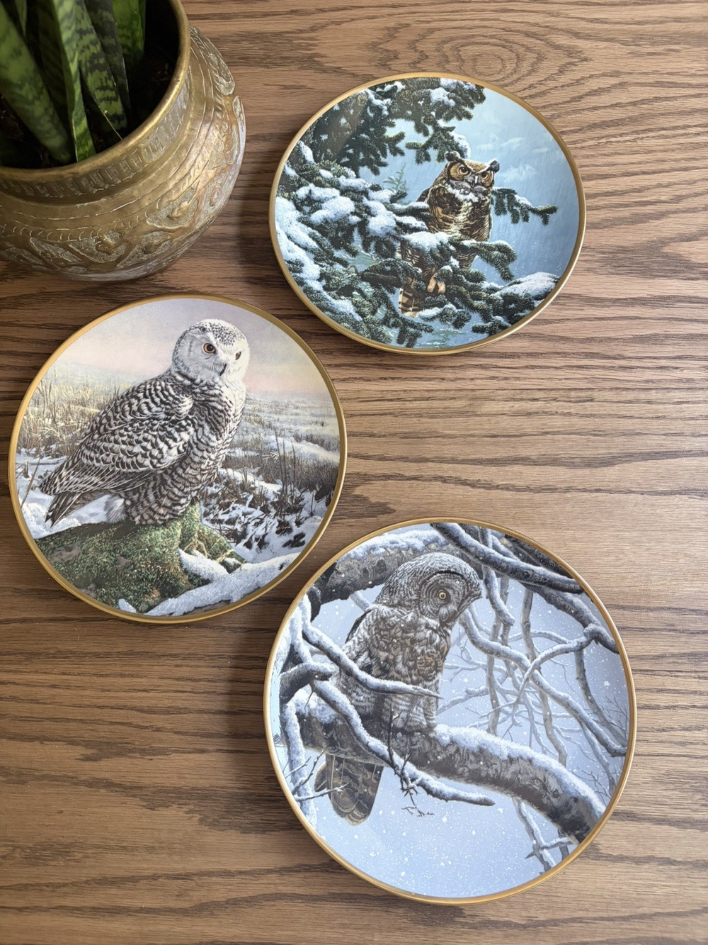 Vintage Wall Hanging Plates Owls Spode Hamilton Plates Snowy Owls Set of 3